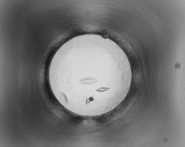 X0000102860591200809151213