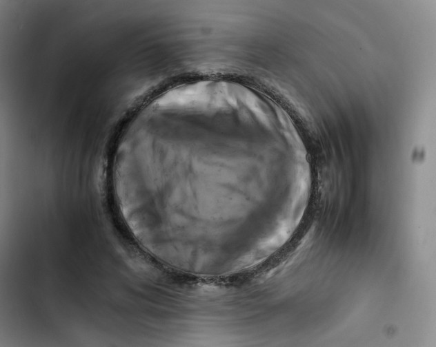 X0000102860592200809151213
