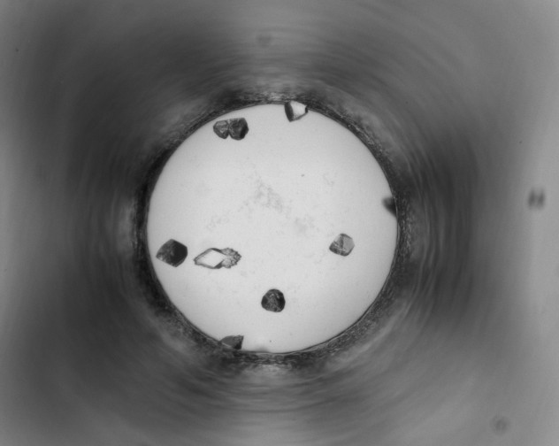 X0000102860594200809151213