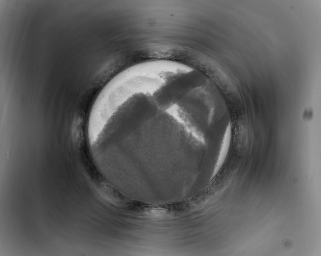 X0000102860598200809151213