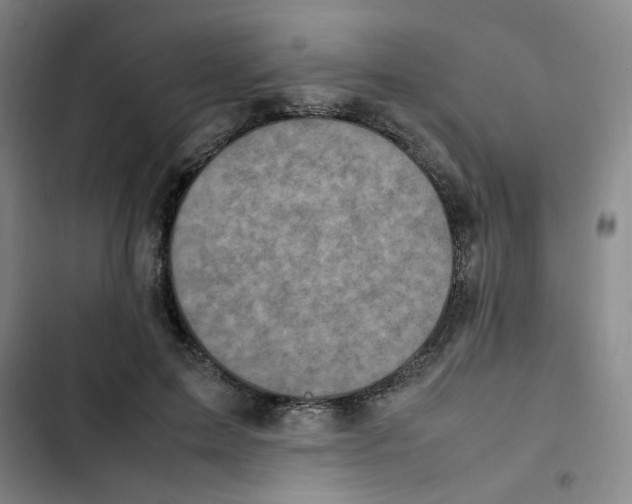 X0000102860599200809151213