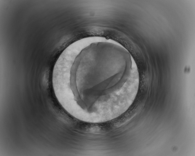 X0000102860600200809151213