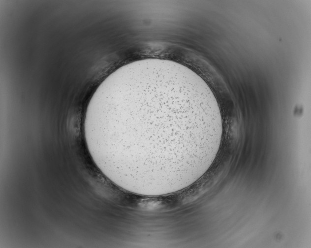 X0000102860602200809151213