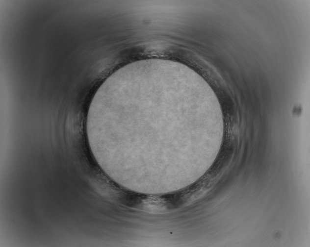X0000102860603200809151213