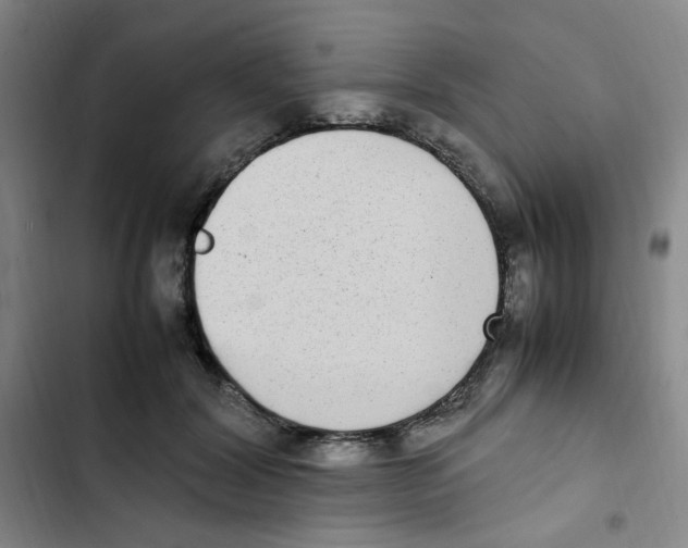 X0000102860604200809151213