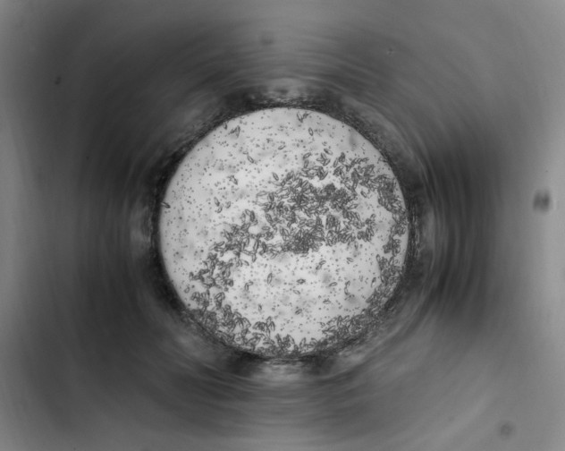X0000102860606200809151213