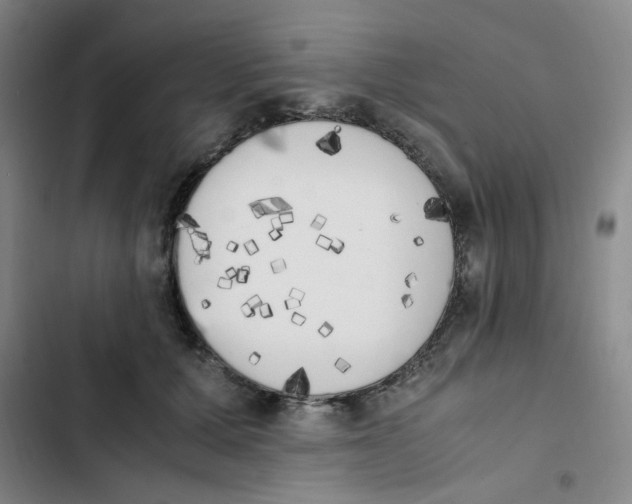 X0000102860607200809151213