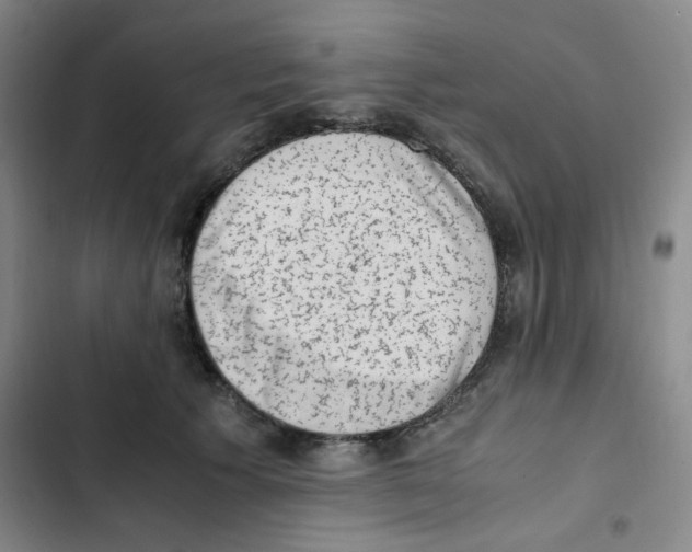 X0000102860609200809151213