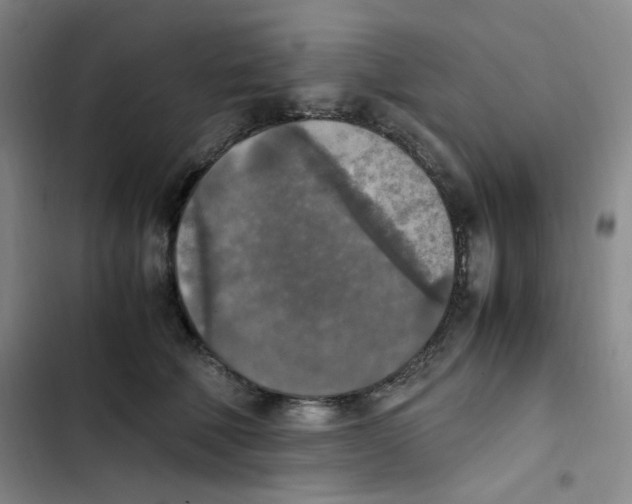 X0000102860610200809151213