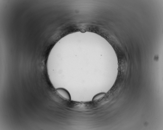 X0000102860611200809151213