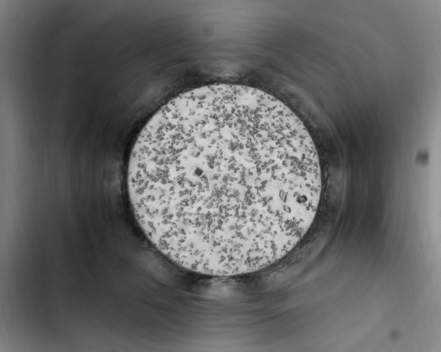 X0000102860612200809151213