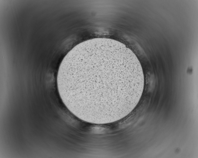 X0000102860614200809151213