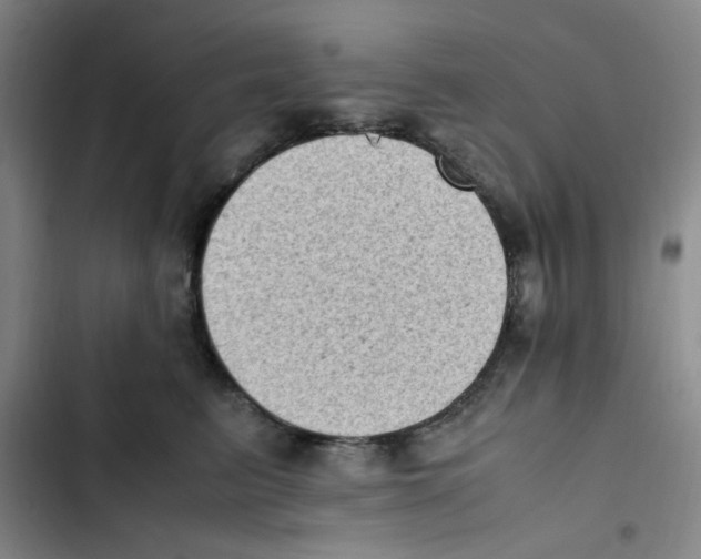 X0000102860615200809151213