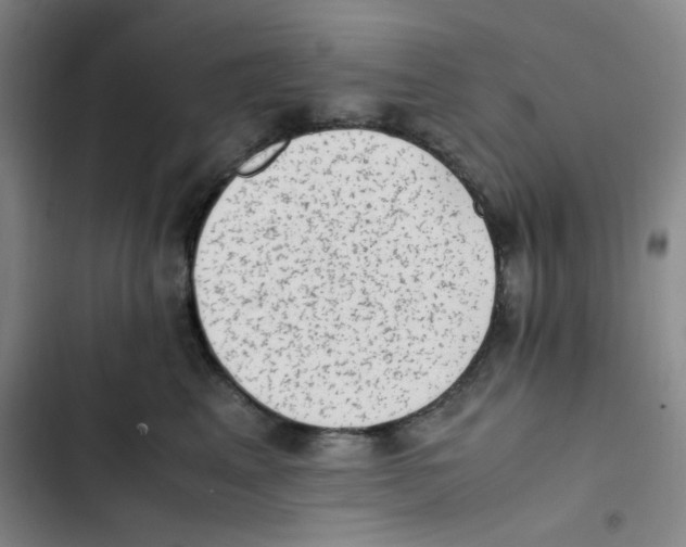 X0000102860617200809151213