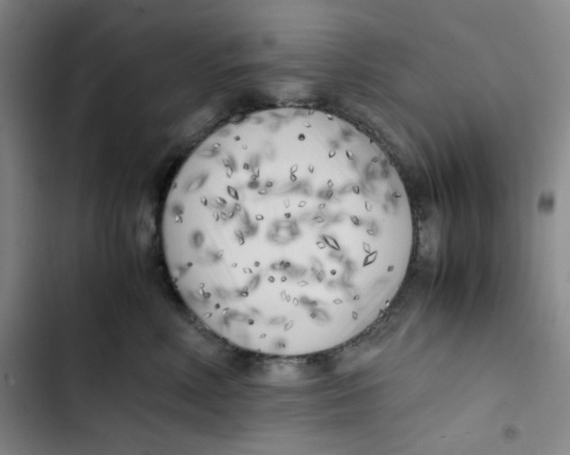 X0000102860618200809151213