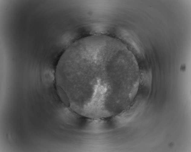 X0000102860621200809151213
