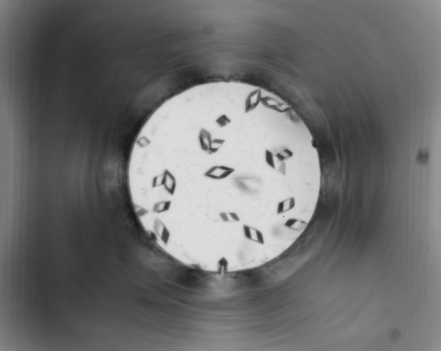 X0000102860623200809151213