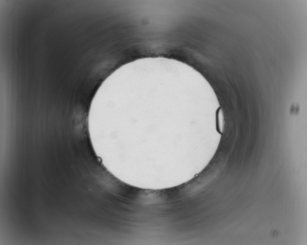 X0000102860624200809151213