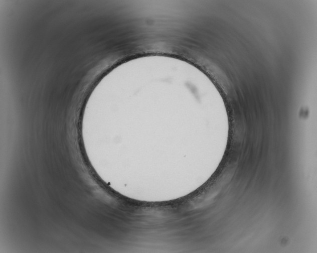 X0000102860625200809151212