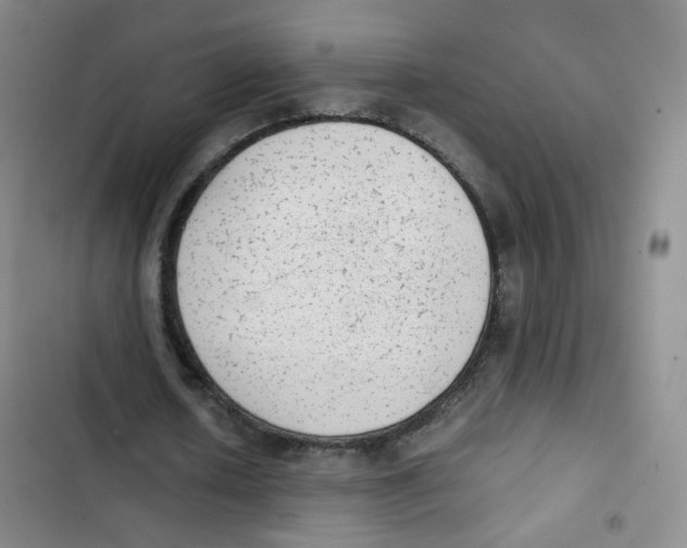 X0000102860626200809151212