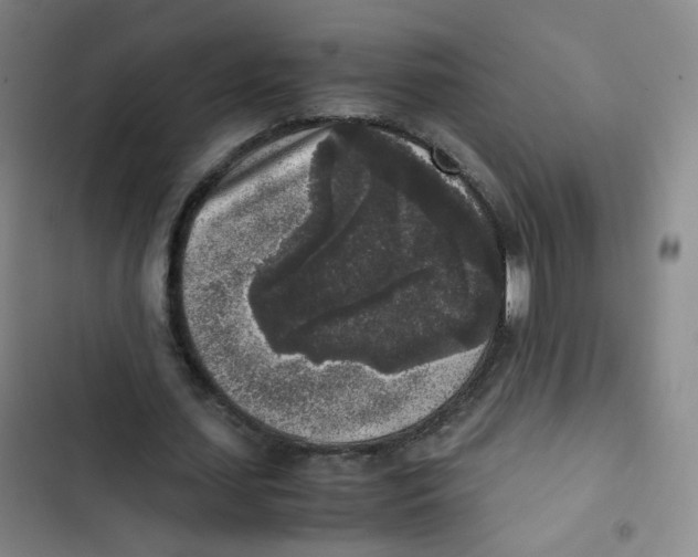 X0000102860627200809151212