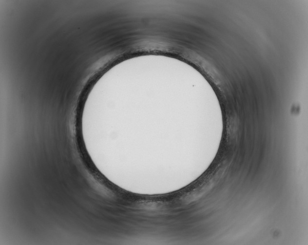X0000102860629200809151212