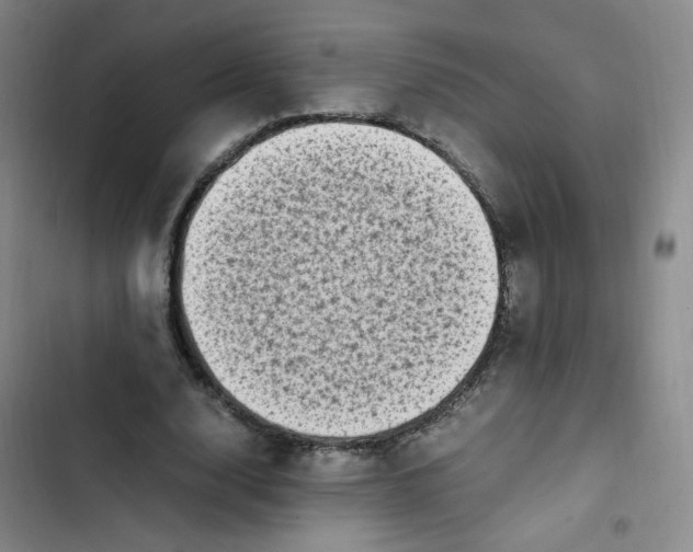 X0000102860632200809151212