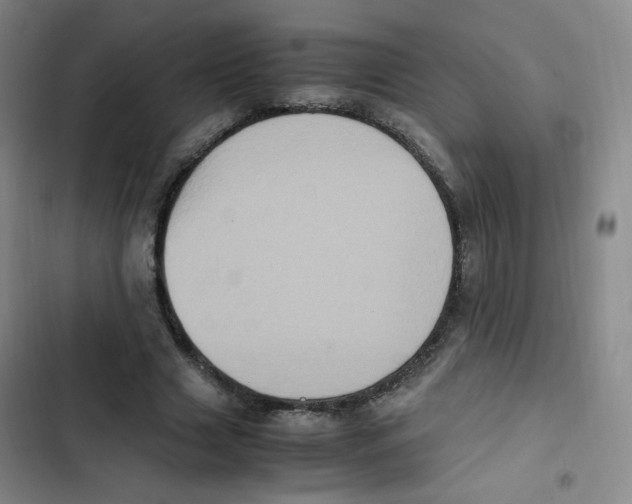 X0000102860633200809151212