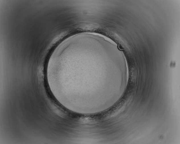 X0000102860634200809151212