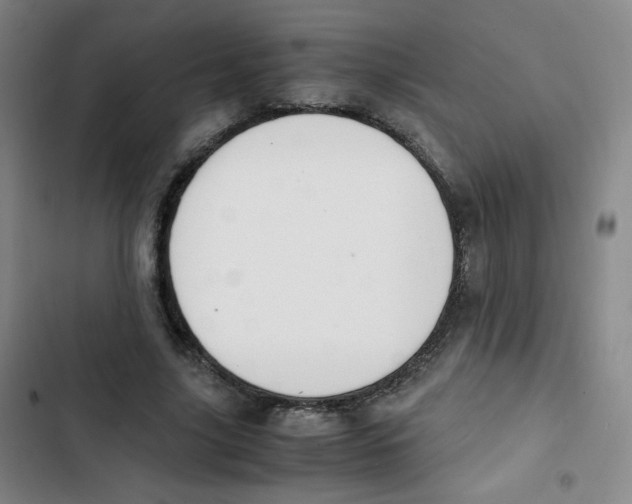 X0000102860635200809151212