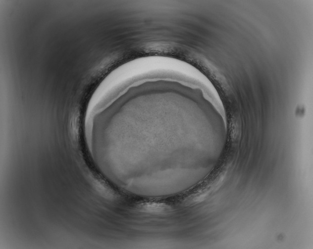 X0000102860637200809151212
