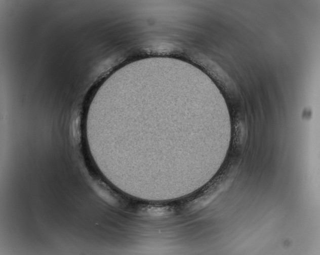 X0000102860638200809151212