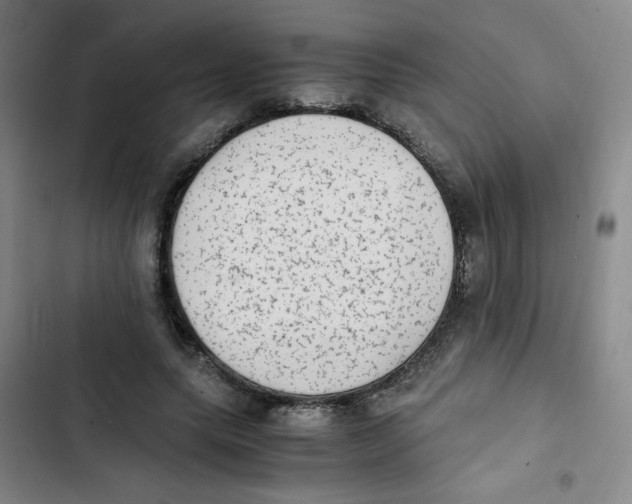 X0000102860639200809151212