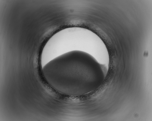 X0000102860640200809151212
