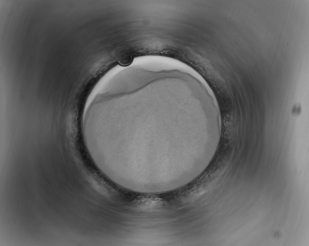 X0000102860642200809151212