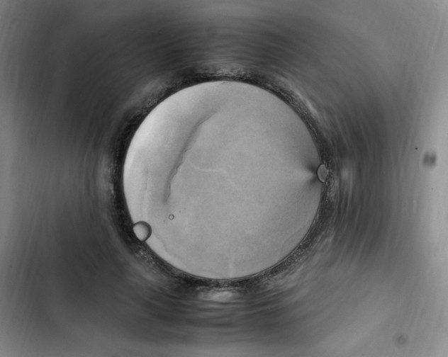 X0000102860643200809151212