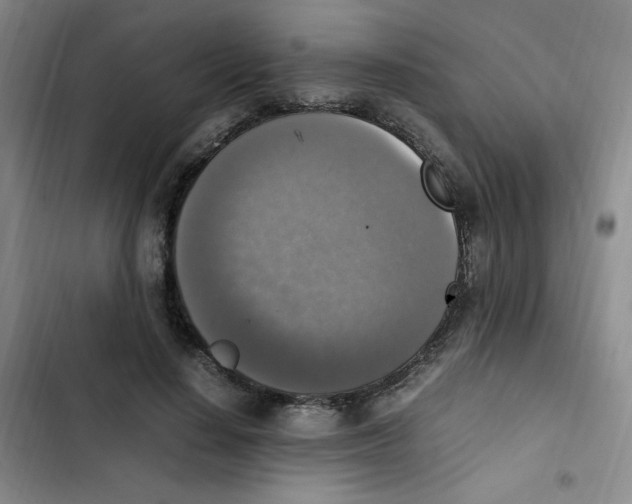 X0000102860644200809151212