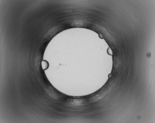 X0000102860645200809151212