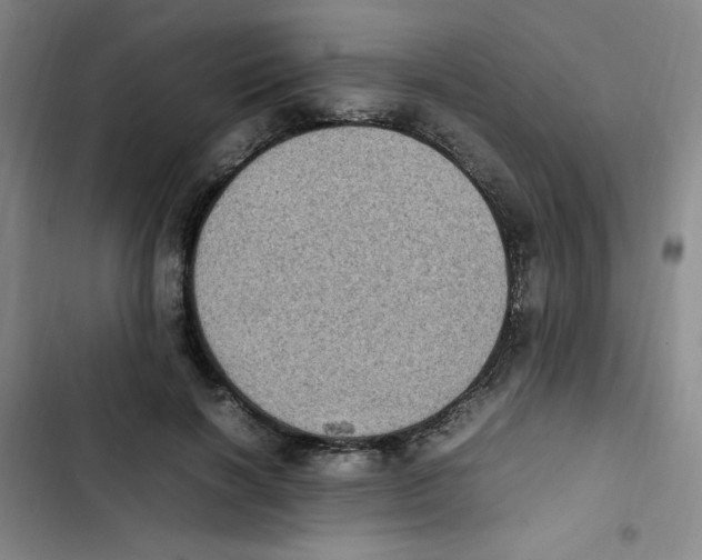 X0000102860646200809151212