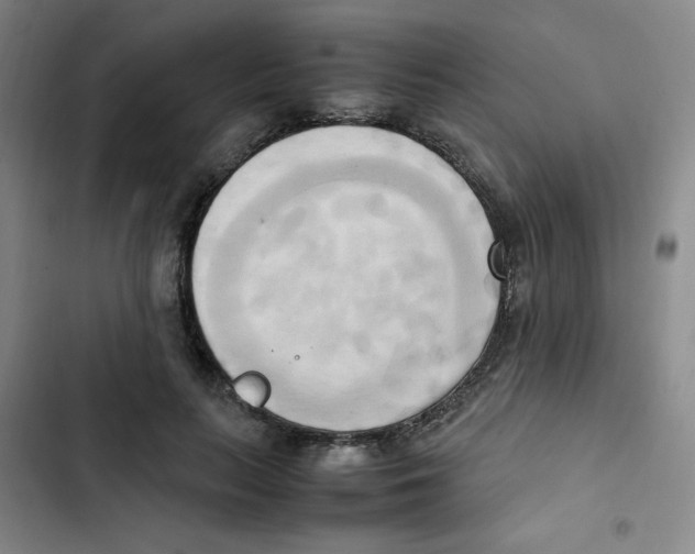 X0000102860647200809151212