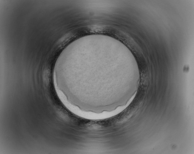X0000102860648200809151212