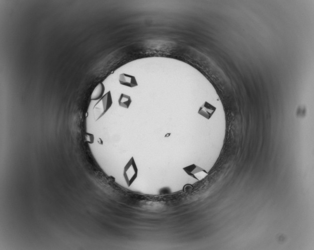 X0000102860649200809151212
