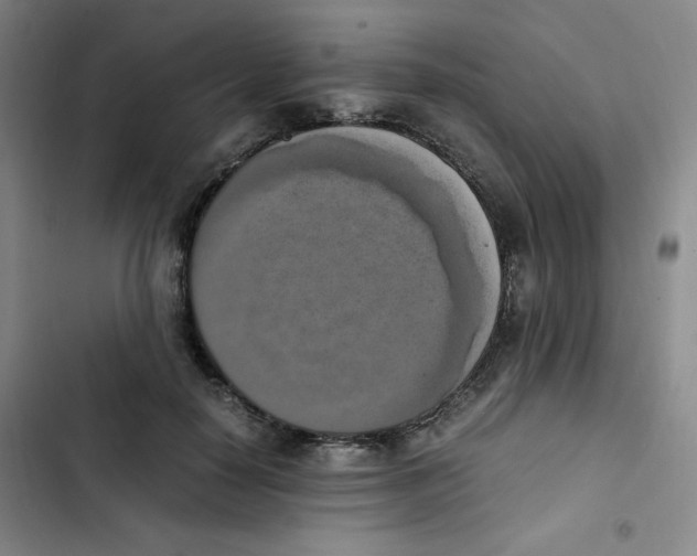 X0000102860650200809151212