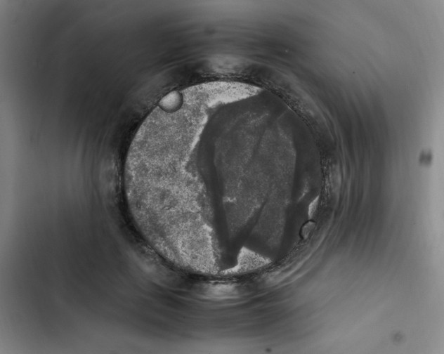 X0000102860651200809151212
