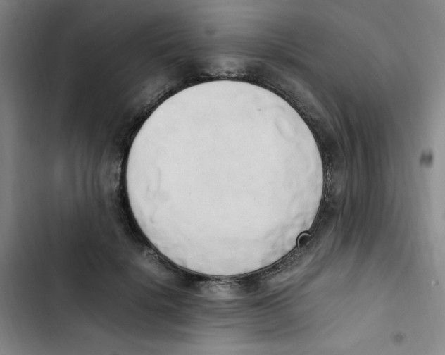 X0000102860652200809151212