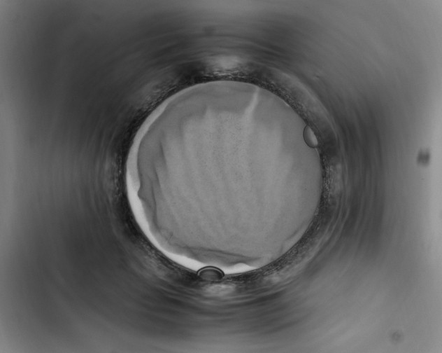 X0000102860653200809151212