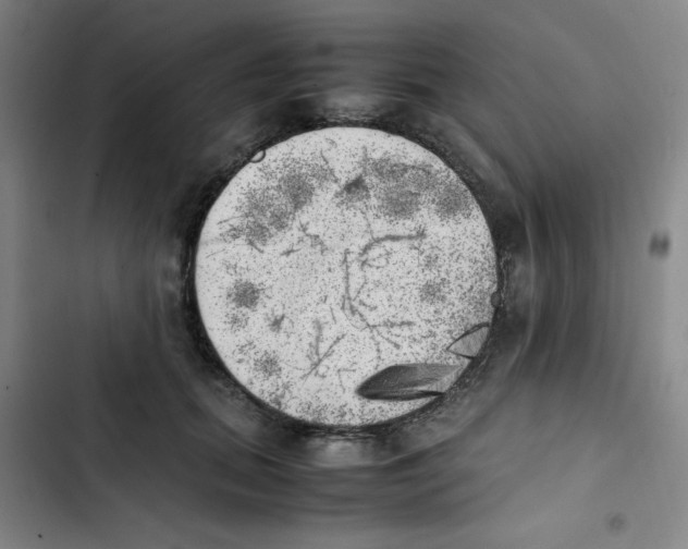 X0000102860655200809151212