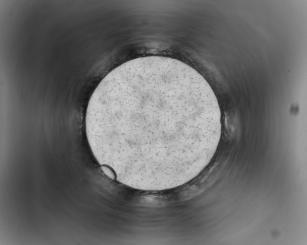 X0000102860657200809151212