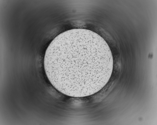 X0000102860658200809151212