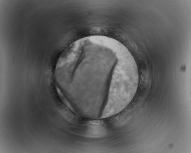X0000102860659200809151212